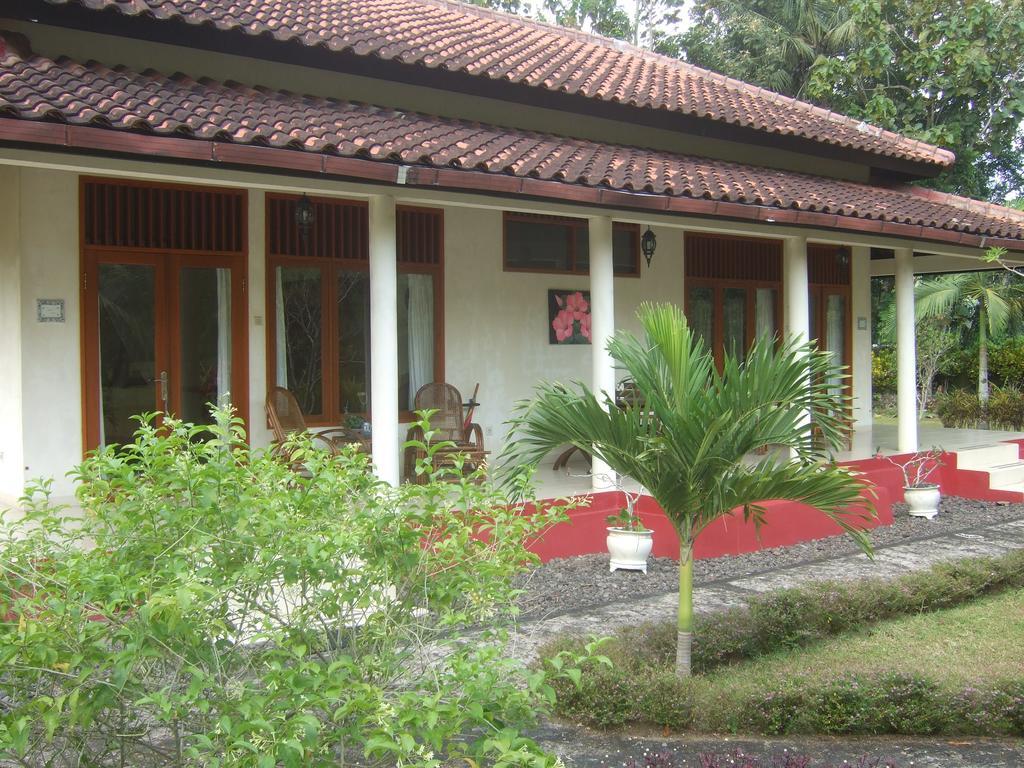 Guesthouse Rumah Senang Kalibaru Ngoại thất bức ảnh