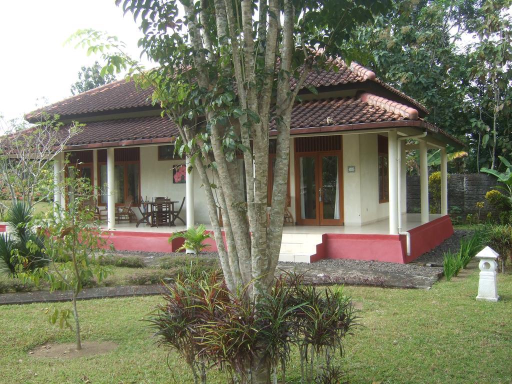 Guesthouse Rumah Senang Kalibaru Ngoại thất bức ảnh