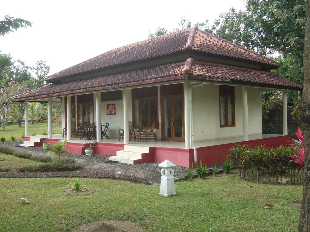 Guesthouse Rumah Senang Kalibaru Ngoại thất bức ảnh